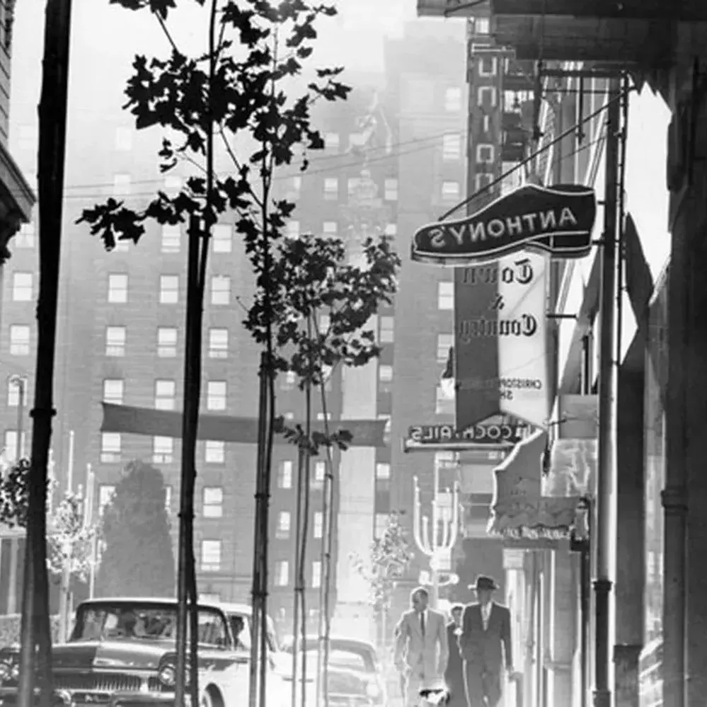 Maiden Lane historical photo