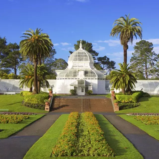 贝博体彩app花卉音乐学院(Conservatorio de Flores de San Francisco).